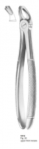  Fig. 20 upper third molars 